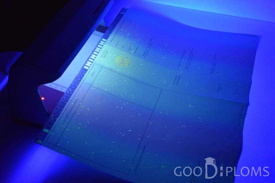Приложение к Диплому Магистра в Ультрафиолете в период c 2014 по 2025 год - Ижевск